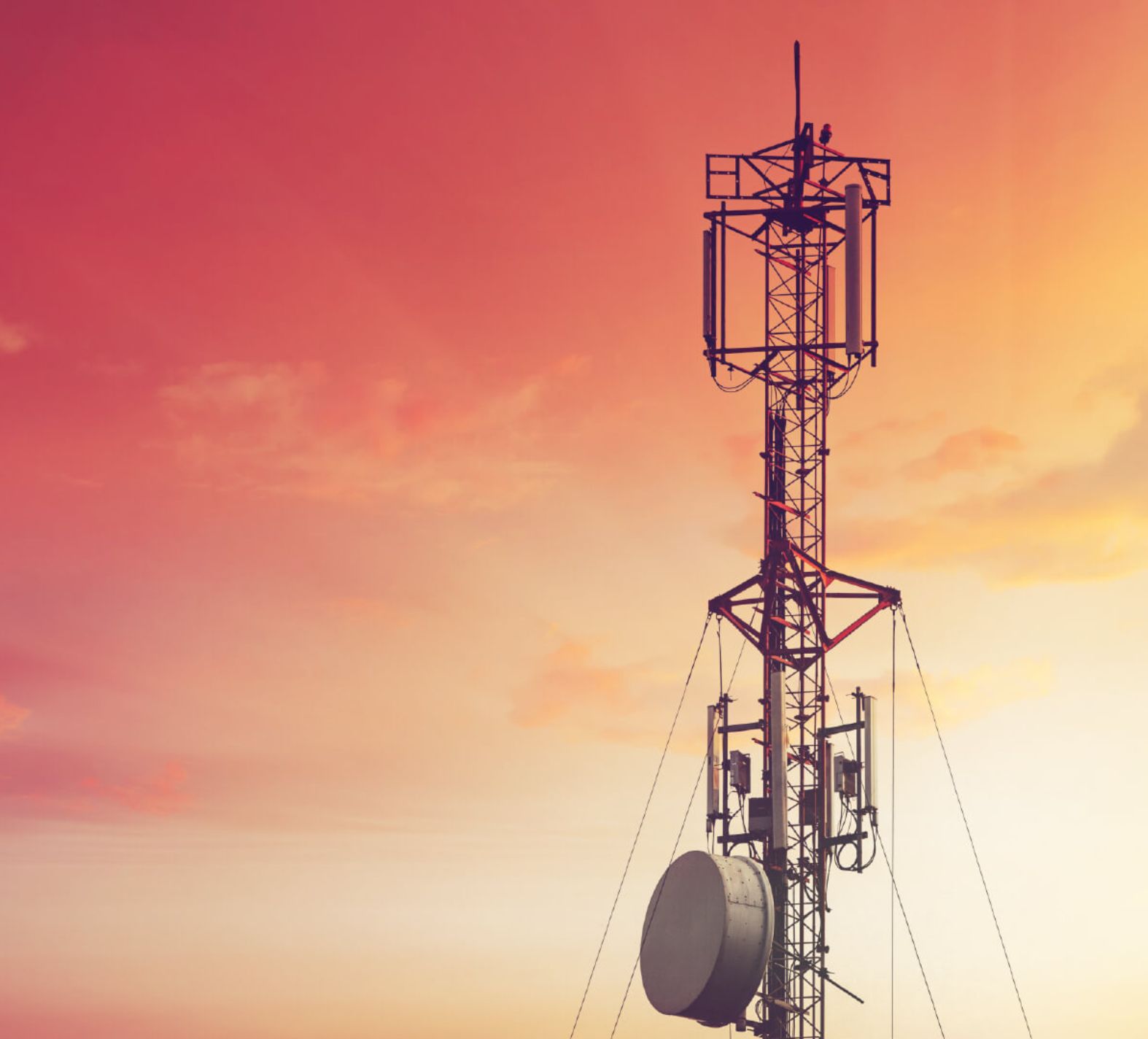 W TIP dążymy do rozsądnych, długoterminowych i przewidywalnych przepływów pieniężnych.